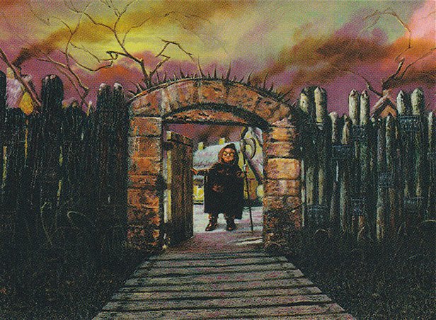 The 10 Most Popular Cards From Shadowmoor Block