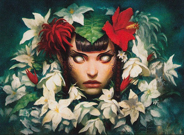 Background image for The Top 10 Most Played Naya Cards in Commander